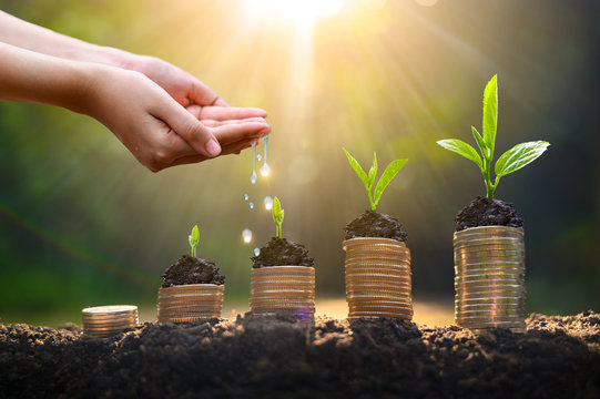 Anticipated Endowment (5 stage Payment) Insurance Plan (with profit)